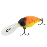 tropical mat tiger