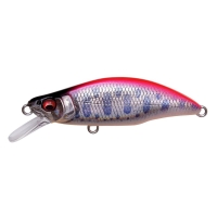 LZ Pink Back Yamame