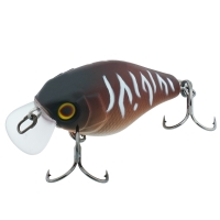 bug tiger