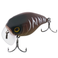 bug tiger