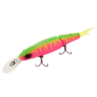 dragon fruit mat tiger