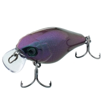 ul bug