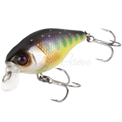 Воблер JACKALL Chubby 38F цв. iwana фото 2
