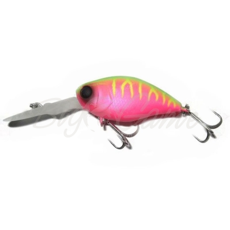 Воблер JACKALL DD Chubby 38F цв. dragon fruit mat tiger фото 2